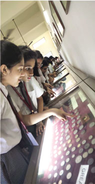Ambe Group of Schools | Field Trip & Picnic