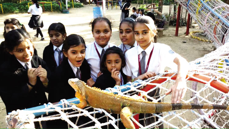 Ambe Group of Schools | Field Trip & Picnic