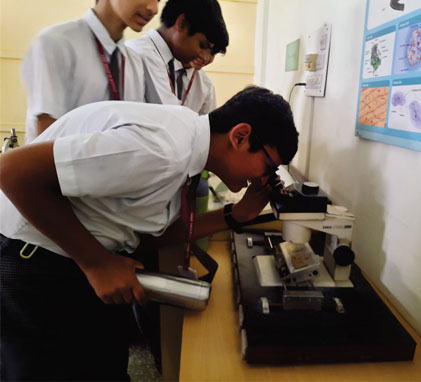 Ambe Group of Schools | Field Trip & Picnic